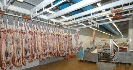 Дезинсекция на мясокомбинате в Фрязино, цены на услуги